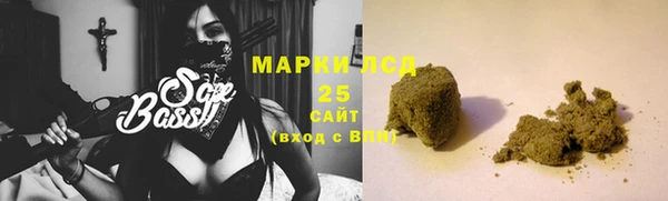 ГАЛЛЮЦИНОГЕННЫЕ ГРИБЫ Пересвет
