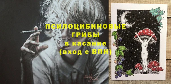 ГАЛЛЮЦИНОГЕННЫЕ ГРИБЫ Пересвет