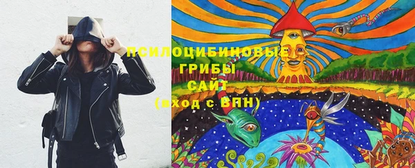 СК Пестово