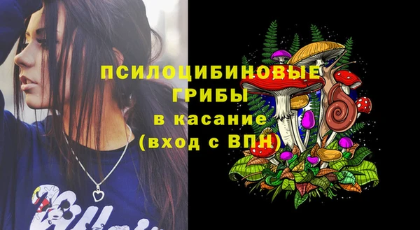 ГАЛЛЮЦИНОГЕННЫЕ ГРИБЫ Пересвет